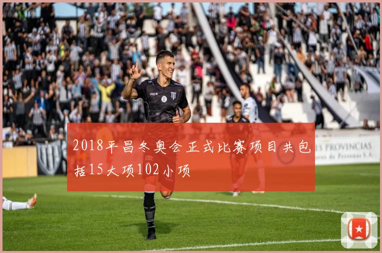 2018平昌冬奥会正式比赛项目共包括15大项102小项