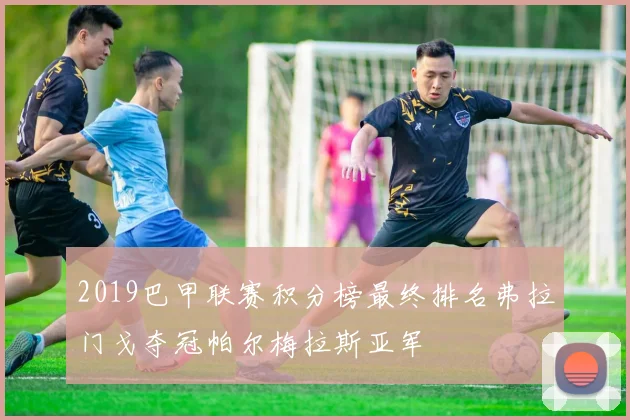 2019巴甲联赛积分榜最终排名弗拉门戈夺冠帕尔梅拉斯亚军