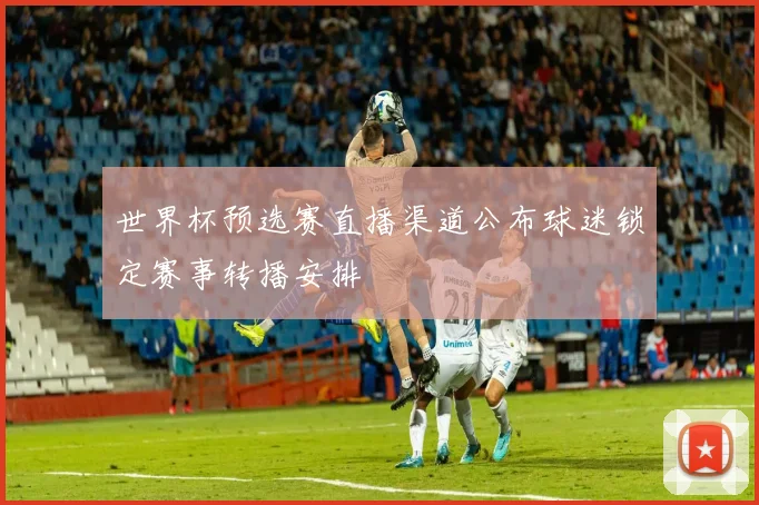 世界杯预选赛直播渠道公布球迷锁定赛事转播安排