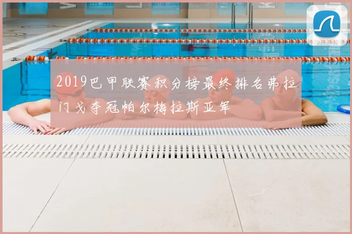 2019巴甲联赛积分榜最终排名弗拉门戈夺冠帕尔梅拉斯亚军