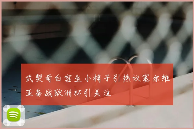 武契奇白宫坐小椅子引热议塞尔维亚备战欧洲杯引关注