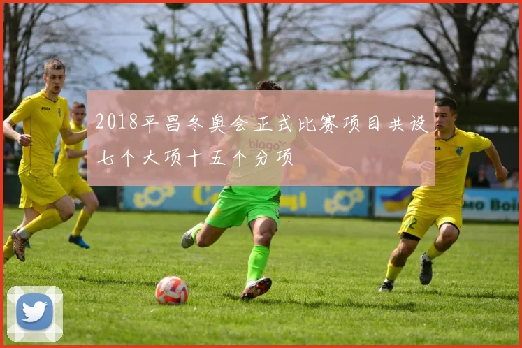 2018平昌冬奥会正式比赛项目共设七个大项十五个分项