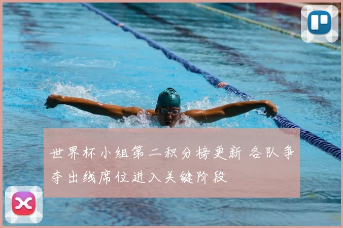 世界杯小组第二积分榜更新 各队争夺出线席位进入关键阶段