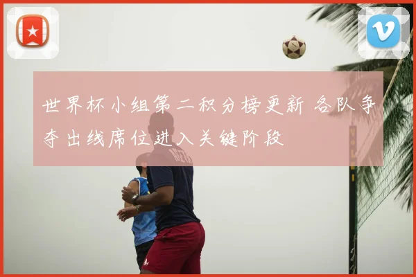 世界杯小组第二积分榜更新 各队争夺出线席位进入关键阶段